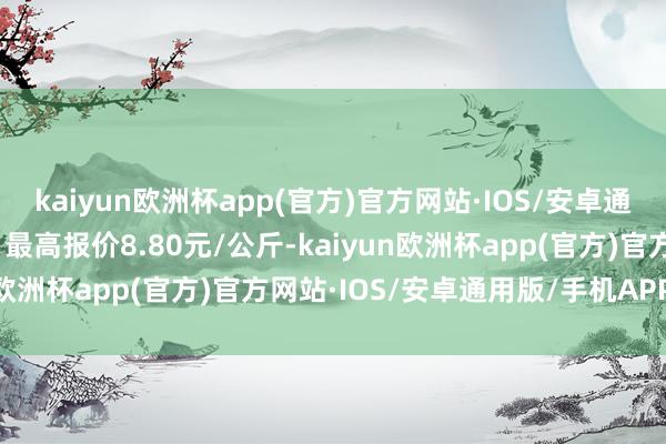 kaiyun欧洲杯app(官方)官方网站·IOS/安卓通用版/手机APP下载当日最高报价8.80元/公斤-kaiyun欧洲杯app(官方)官方网站·IOS/安卓通用版/手机APP下载