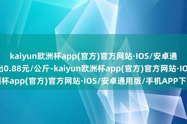 kaiyun欧洲杯app(官方)官方网站·IOS/安卓通用版/手机APP下载进出0.88元/公斤-kaiyun欧洲杯app(官方)官方网站·IOS/安卓通用版/手机APP下载