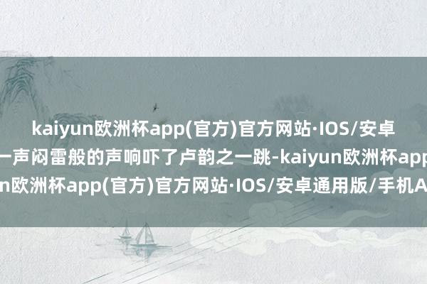 kaiyun欧洲杯app(官方)官方网站·IOS/安卓通用版/手机APP下载”一声闷雷般的声响吓了卢韵之一跳-kaiyun欧洲杯app(官方)官方网站·IOS/安卓通用版/手机APP下载