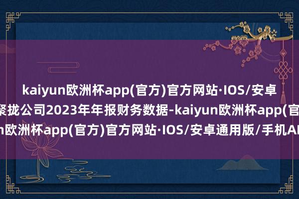 kaiyun欧洲杯app(官方)官方网站·IOS/安卓通用版/手机APP下载聚拢公司2023年年报财务数据-kaiyun欧洲杯app(官方)官方网站·IOS/安卓通用版/手机APP下载