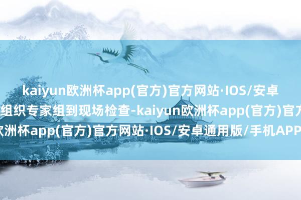 kaiyun欧洲杯app(官方)官方网站·IOS/安卓通用版/手机APP下载已组织专家组到现场检查-kaiyun欧洲杯app(官方)官方网站·IOS/安卓通用版/手机APP下载