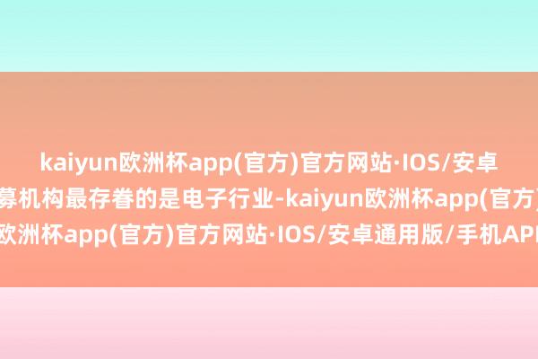 kaiyun欧洲杯app(官方)官方网站·IOS/安卓通用版/手机APP下载私募机构最存眷的是电子行业-kaiyun欧洲杯app(官方)官方网站·IOS/安卓通用版/手机APP下载