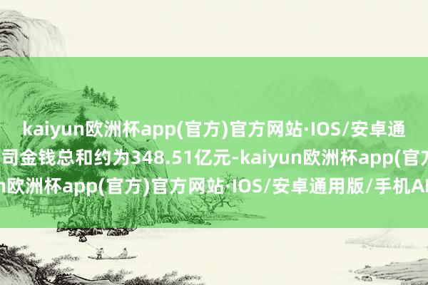 kaiyun欧洲杯app(官方)官方网站·IOS/安卓通用版/手机APP下载该公司金钱总和约为348.51亿元-kaiyun欧洲杯app(官方)官方网站·IOS/安卓通用版/手机APP下载