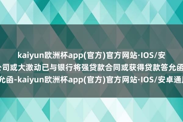 kaiyun欧洲杯app(官方)官方网站·IOS/安卓通用版/手机APP下载公司或大激动已与银行将强贷款合同或获得贷款答允函-kaiyun欧洲杯app(官方)官方网站·IOS/安卓通用版/手机APP下载