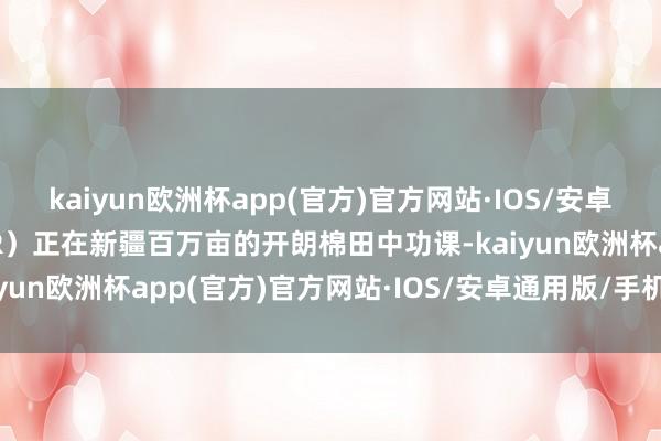 kaiyun欧洲杯app(官方)官方网站·IOS/安卓通用版/手机APP下载FR）正在新疆百万亩的开朗棉田中功课-kaiyun欧洲杯app(官方)官方网站·IOS/安卓通用版/手机APP下载