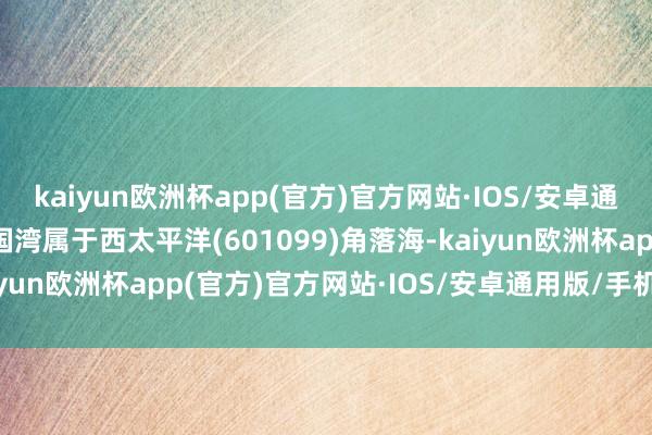 kaiyun欧洲杯app(官方)官方网站·IOS/安卓通用版/手机APP下载泰国湾属于西太平洋(601099)角落海-kaiyun欧洲杯app(官方)官方网站·IOS/安卓通用版/手机APP下载