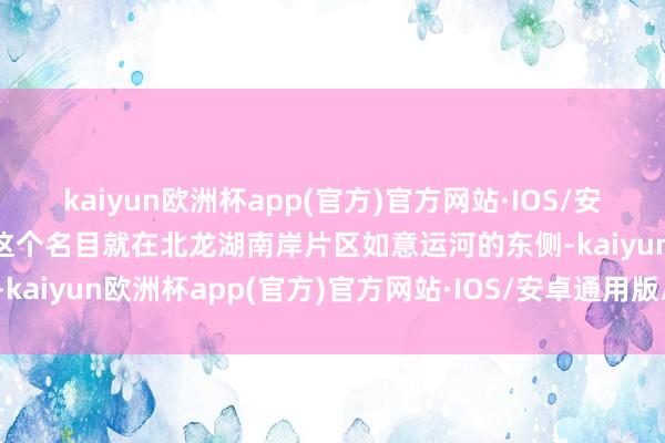 kaiyun欧洲杯app(官方)官方网站·IOS/安卓通用版/手机APP下载这个名目就在北龙湖南岸片区如意运河的东侧-kaiyun欧洲杯app(官方)官方网站·IOS/安卓通用版/手机APP下载