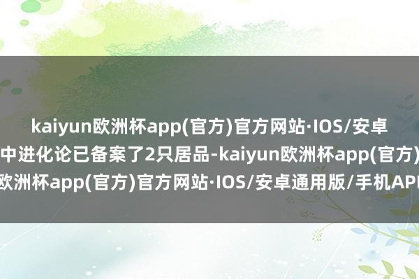 kaiyun欧洲杯app(官方)官方网站·IOS/安卓通用版/手机APP下载其中进化论已备案了2只居品-kaiyun欧洲杯app(官方)官方网站·IOS/安卓通用版/手机APP下载