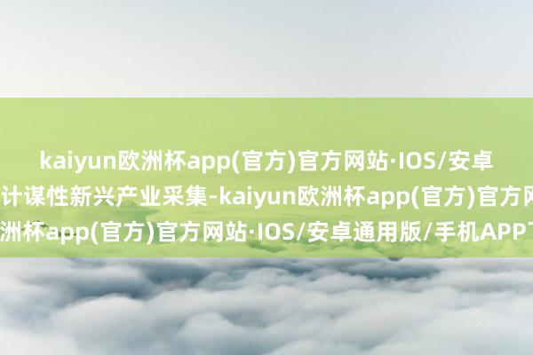 kaiyun欧洲杯app(官方)官方网站·IOS/安卓通用版/手机APP下载向计谋性新兴产业采集-kaiyun欧洲杯app(官方)官方网站·IOS/安卓通用版/手机APP下载