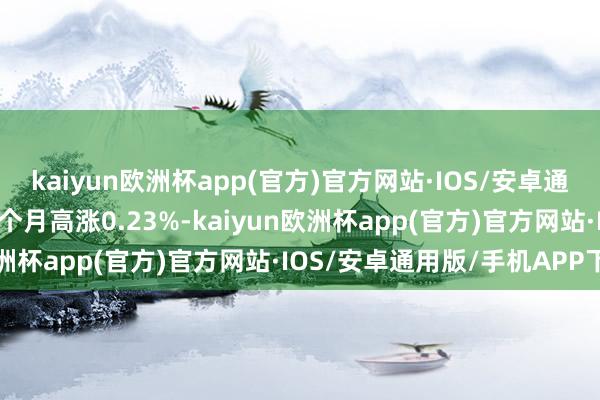 kaiyun欧洲杯app(官方)官方网站·IOS/安卓通用版/手机APP下载近3个月高涨0.23%-kaiyun欧洲杯app(官方)官方网站·IOS/安卓通用版/手机APP下载