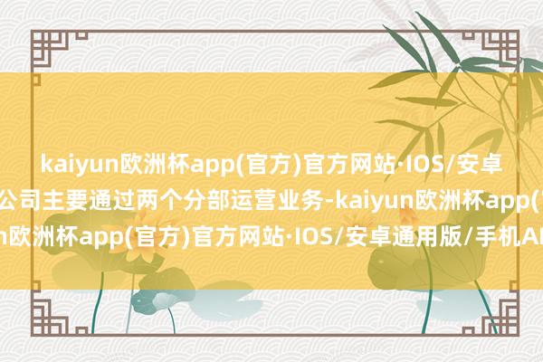 kaiyun欧洲杯app(官方)官方网站·IOS/安卓通用版/手机APP下载该公司主要通过两个分部运营业务-kaiyun欧洲杯app(官方)官方网站·IOS/安卓通用版/手机APP下载