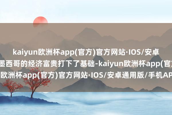 kaiyun欧洲杯app(官方)官方网站·IOS/安卓通用版/手机APP下载为墨西哥的经济富贵打下了基础-kaiyun欧洲杯app(官方)官方网站·IOS/安卓通用版/手机APP下载