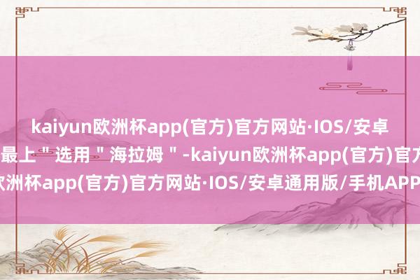 kaiyun欧洲杯app(官方)官方网站·IOS/安卓通用版/手机APP下载＂最上＂选用＂海拉姆＂-kaiyun欧洲杯app(官方)官方网站·IOS/安卓通用版/手机APP下载