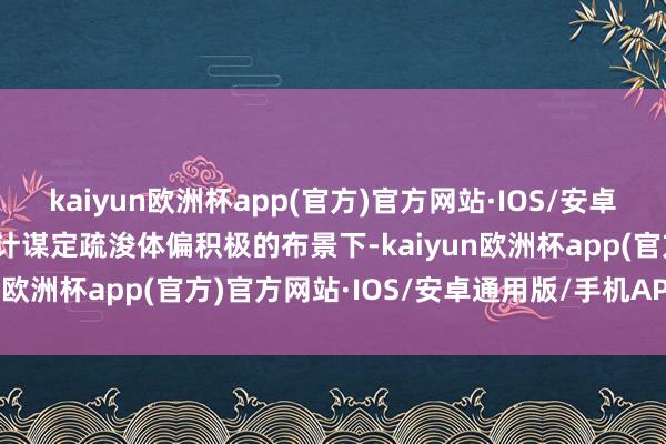 kaiyun欧洲杯app(官方)官方网站·IOS/安卓通用版/手机APP下载在计谋定疏浚体偏积极的布景下-kaiyun欧洲杯app(官方)官方网站·IOS/安卓通用版/手机APP下载