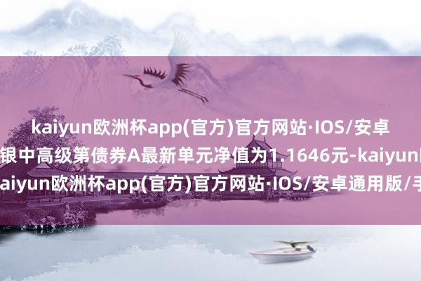 kaiyun欧洲杯app(官方)官方网站·IOS/安卓通用版/手机APP下载中银中高级第债券A最新单元净值为1.1646元-kaiyun欧洲杯app(官方)官方网站·IOS/安卓通用版/手机APP下载