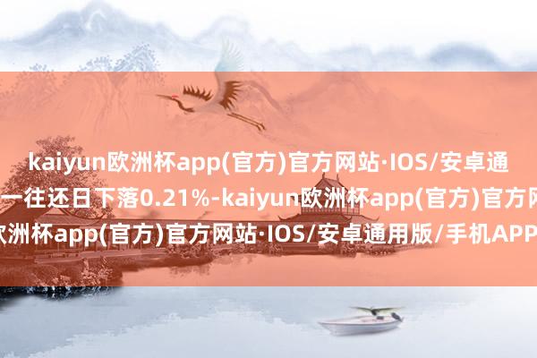 kaiyun欧洲杯app(官方)官方网站·IOS/安卓通用版/手机APP下载较前一往还日下落0.21%-kaiyun欧洲杯app(官方)官方网站·IOS/安卓通用版/手机APP下载