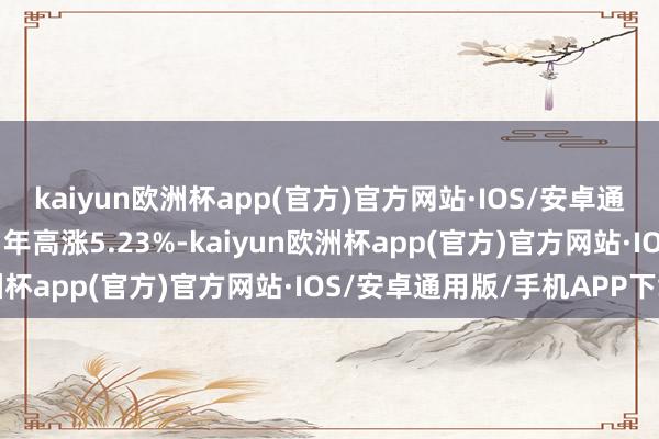 kaiyun欧洲杯app(官方)官方网站·IOS/安卓通用版/手机APP下载近1年高涨5.23%-kaiyun欧洲杯app(官方)官方网站·IOS/安卓通用版/手机APP下载