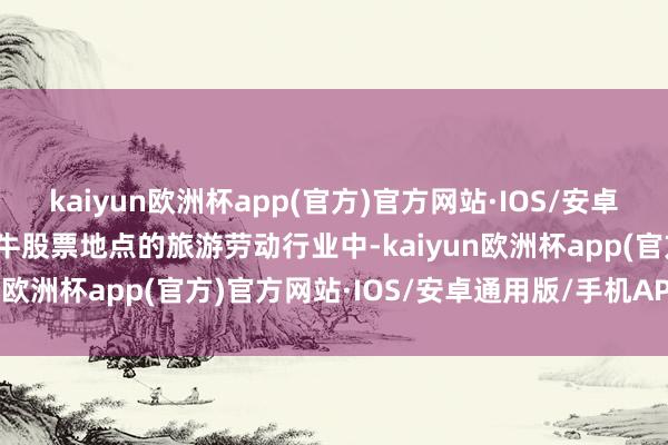 kaiyun欧洲杯app(官方)官方网站·IOS/安卓通用版/手机APP下载途牛股票地点的旅游劳动行业中-kaiyun欧洲杯app(官方)官方网站·IOS/安卓通用版/手机APP下载