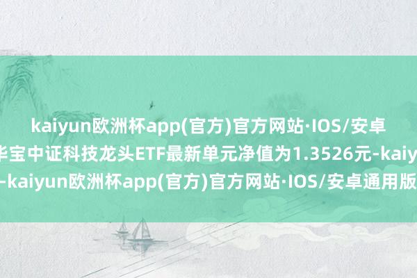 kaiyun欧洲杯app(官方)官方网站·IOS/安卓通用版/手机APP下载华宝中证科技龙头ETF最新单元净值为1.3526元-kaiyun欧洲杯app(官方)官方网站·IOS/安卓通用版/手机APP下载