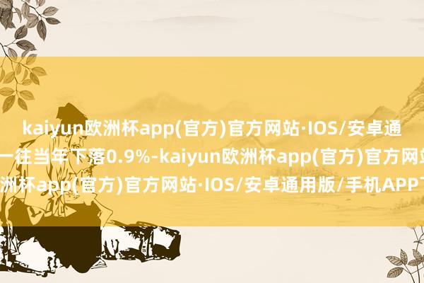 kaiyun欧洲杯app(官方)官方网站·IOS/安卓通用版/手机APP下载较前一往当年下落0.9%-kaiyun欧洲杯app(官方)官方网站·IOS/安卓通用版/手机APP下载