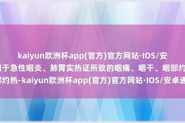 kaiyun欧洲杯app(官方)官方网站·IOS/安卓通用版/手机APP下载用于急性咽炎、肺胃实热证所致的咽痛、咽干、咽部灼热-kaiyun欧洲杯app(官方)官方网站·IOS/安卓通用版/手机APP下载