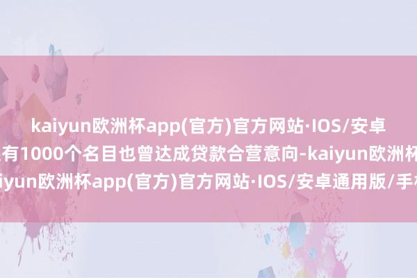 kaiyun欧洲杯app(官方)官方网站·IOS/安卓通用版/手机APP下载还有1000个名目也曾达成贷款合营意向-kaiyun欧洲杯app(官方)官方网站·IOS/安卓通用版/手机APP下载